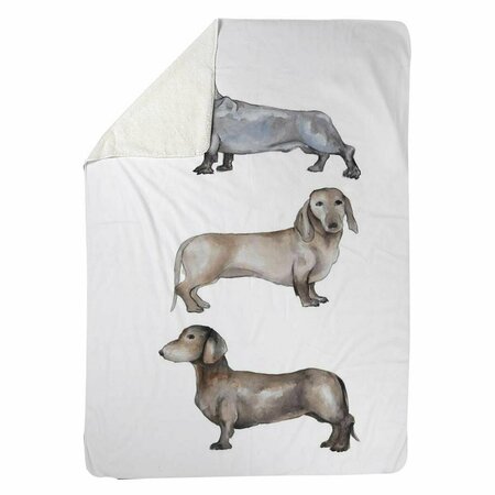 BEGIN HOME DECOR 60 x 80 in. Small Dachshund Dog-Sherpa Fleece Blanket 5545-6080-AN409